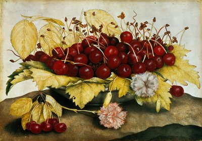 Cherries and Carnations by Giovanna Garzoni